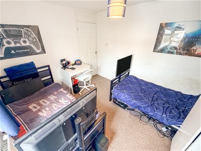 Picture 15